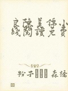 良陈美锦小说在线阅读免费