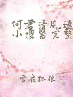 何君清风远风流小傻医完整版