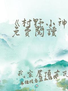 《村野小神医》免费阅读