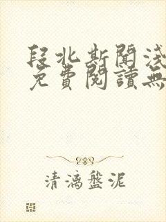 段北斯闻浅全文免费阅读无弹窗笔趣阁