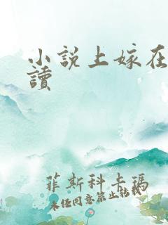 小说上嫁在线阅读