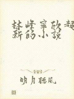 林峰宁欣超前更新的小说