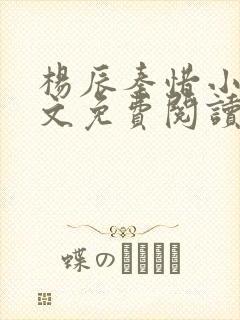 杨辰秦惜小说全文免费阅读最新章节更新