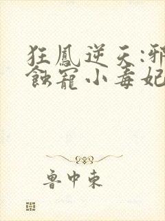 狂凤逆天:邪王蚀宠小毒妃