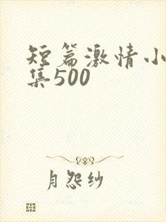 短篇激情小说合集500