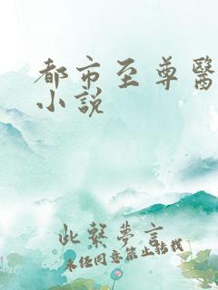 都市至尊医仙 小说