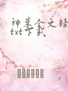 神墓全文精校版txt下载