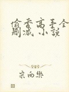 偷香高手全文无删减 小说