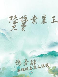 陆锦棠襄王全文免费