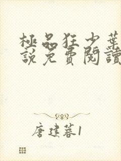 极品狂少叶凡小说免费阅读