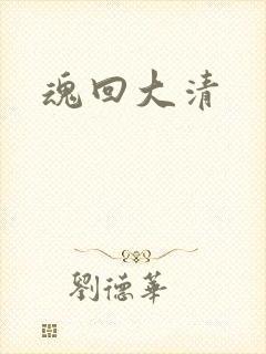 魂回大清