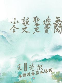 小说圣墟无弹窗全文免费阅读
