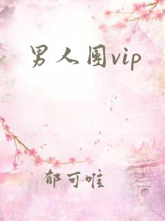男人团vip