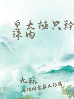 皇太极只干海兰珠肉