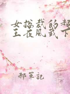 女总裁的超级兵王夜风武下载