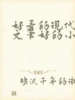 好看的现代言情文笔好的小说