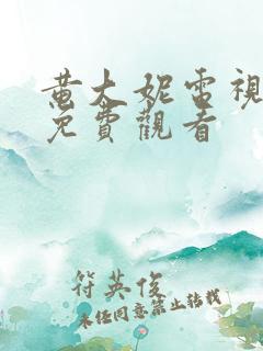 黄大妮电视剧情免费观看