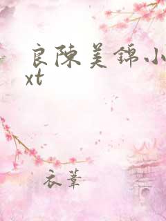 良陈美锦小说txt