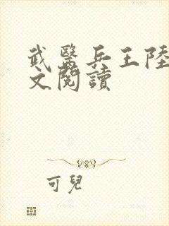 武医兵王陆轩全文阅读