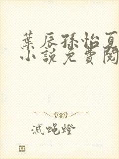 叶辰孙怡夏若雪小说免费阅读全文
