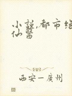 小说,都市绝品仙医