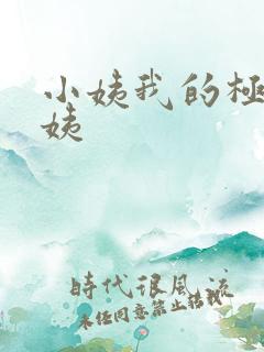 小姨我的极品小姨