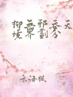 柳无邪吞天神鼎境界划分