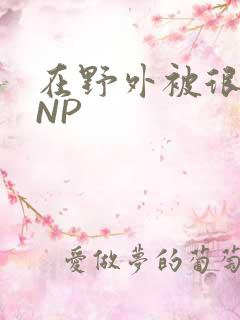 在野外被很多人NP