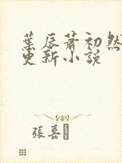叶辰萧初然最快更新小说