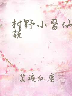 村野小医仙 小说