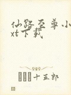 仙路至尊小说txt下载