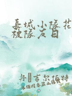 长城小队花木兰被队友日