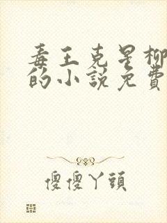 毒王克星柳如烟的小说免费阅读