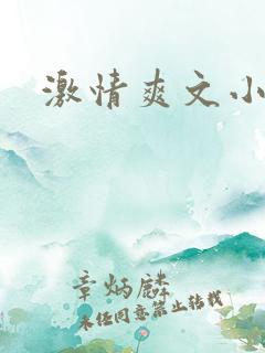 激情爽文小说