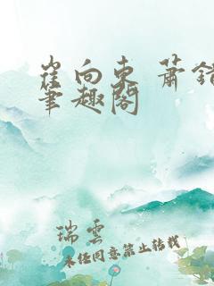 崔向东 萧错 笔趣阁