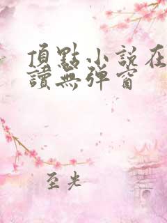 顶点小说在线阅读无弹窗