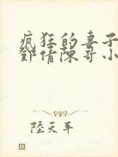 疯狂的妻子林瑶邓倩陈哥小说