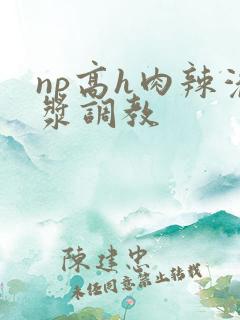 np高h肉辣灌浆调教