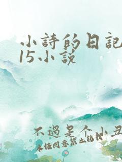 小诗的日记1一15小说