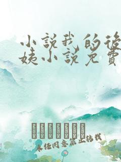 小说我的后妈小姨小说免费阅读