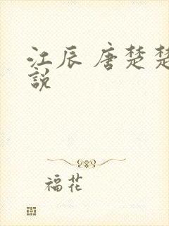 江辰 唐楚楚小说