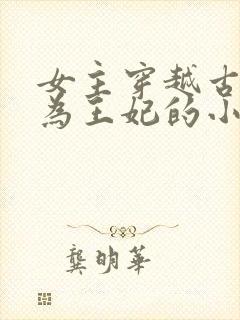 女主穿越古代成为王妃的小说