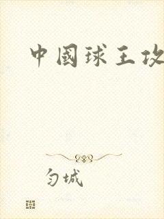 中国球王攻略