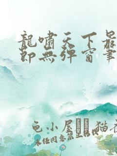 龙啸天下最新章节无弹窗笔趣阁