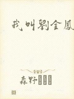 我叫刘金凤下架
