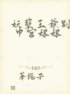 妖孽王爷别乱来 中宫娘娘