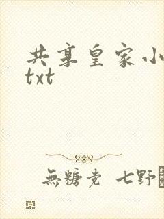 共享皇家小公主txt