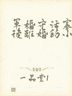 军婚守活寡重生后离婚的小说