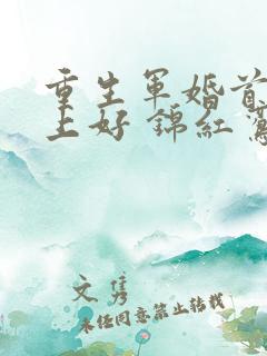 重生军婚首长早上好 锦红鸾