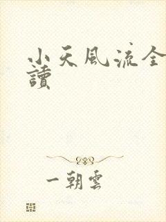 小天风流全文阅读